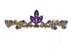 Dainty little Amethyst and Gold Coloured Tiara