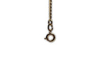 Shell Tassel Necklace
